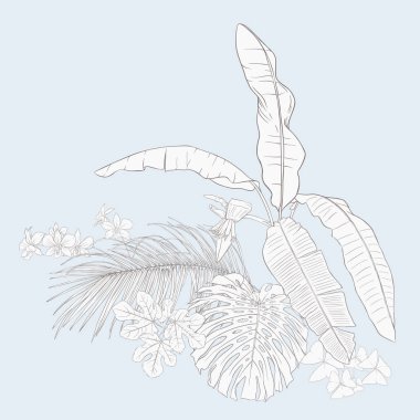 Tropikal bitki kompozisyonu, palmiye yaprakları, canavarlar ve botanik tarzında beyaz orkide. Vektör çizim çizim el anahat. Vintage mavi ve bej renklerini.