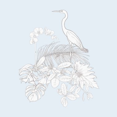 Tropikal bitki kompozisyonu, palmiye yaprakları, canavarlar ve botanik tarzında beyaz heron ile beyaz orkide. Vektör çizim çizim el anahat. Vintage mavi ve bej renklerini.