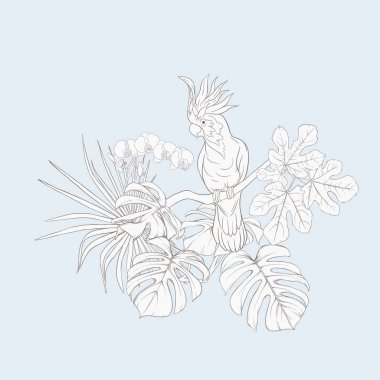 Tropikal bitki kompozisyonu, palmiye yaprakları, canavarlar ve Kakadu papağan botanik tarzı ile beyaz orkide. Vektör çizim çizim el anahat. Vintage mavi ve bej renklerini.