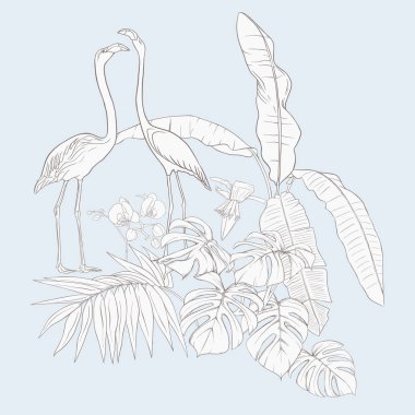Bir kompozisyon tropik bitkilerin yaprak, canavarlar ve flamingo botanik tarzı ile beyaz orkide palm / el vektör çizim çizimi anahat. Vintage mavi ve bej renklerini.