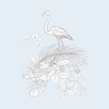 Bir kompozisyon tropik bitkilerin yaprak, canavarlar ve flamingo botanik tarzı ile beyaz orkide palm / el vektör çizim çizimi anahat. Vintage mavi ve bej renklerini.