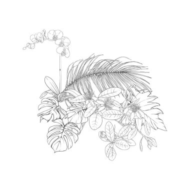 Tropikal bitki kompozisyonu, palmiye yaprakları, canavarlar ve botanik tarzında beyaz orkide. Vektör çizim çizim el anahat. Beyaz arka plan üzerinde izole.