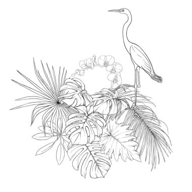 Tropikal bitki kompozisyonu, palmiye yaprakları, canavarlar ve botanik tarzında beyaz heron ile beyaz orkide. Vektör çizim çizim el anahat. Beyaz arka plan üzerinde izole.