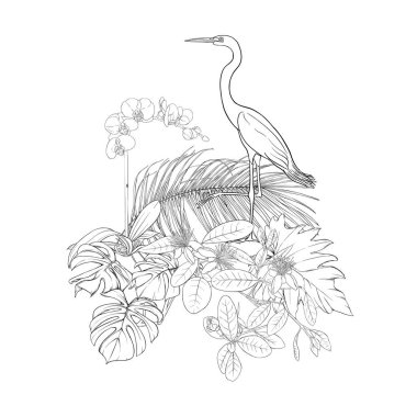 Tropikal bitki kompozisyonu, palmiye yaprakları, canavarlar ve botanik tarzında beyaz heron ile beyaz orkide. Vektör çizim çizim el anahat. Beyaz arka plan üzerinde izole.