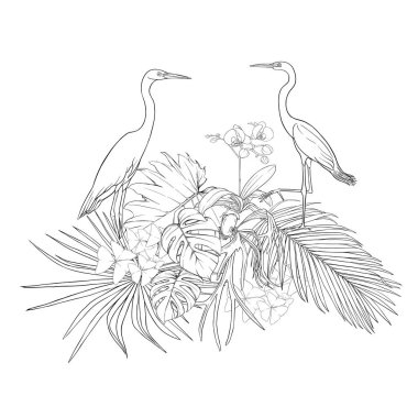 Tropikal bitki kompozisyonu, palmiye yaprakları, canavarlar ve botanik tarzında beyaz heron ile beyaz orkide. Vektör çizim çizim el anahat. Beyaz arka plan üzerinde izole.