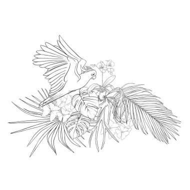 Tropikal bitki kompozisyonu, palmiye yaprakları, canavarlar ve Kakadu papağan botanik tarzı ile beyaz orkide. Vektör çizim çizim el anahat. Beyaz arka plan üzerinde izole.
