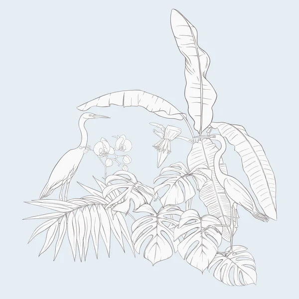 Uma Composição Plantas Tropicais Folhas Palmeira Monstros Orquídeas Brancas Com — Vetor de Stock