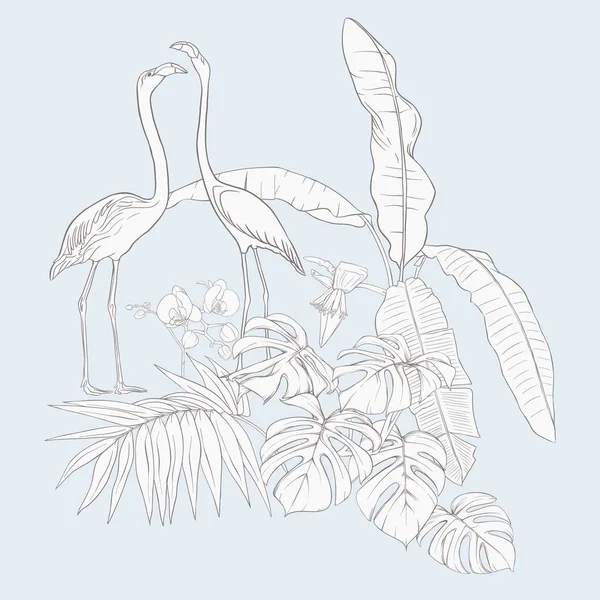 Kompozycja Roślin Tropikalnych Palma Liści Potwory Białe Storczyki Flamingo Stylu — Wektor stockowy