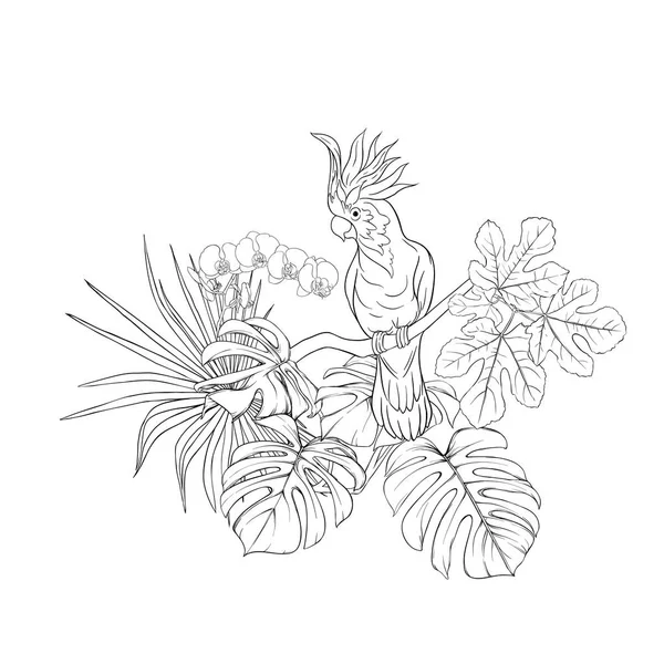 Una Composición Plantas Tropicales Hojas Palma Monstruos Orquídeas Blancas Con — Archivo Imágenes Vectoriales