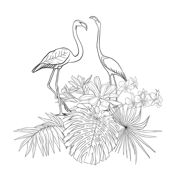 Kompozycja Roślin Tropikalnych Palma Liści Potwory Białe Storczyki Flamingo Stylu — Wektor stockowy