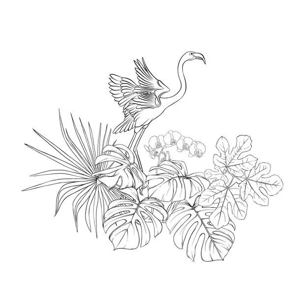 Bir kompozisyon tropik bitkilerin yaprak, canavarlar ve flamingo botanik tarzı ile beyaz orkide palm / el vektör çizim çizimi anahat. Beyaz arka plan üzerinde izole.