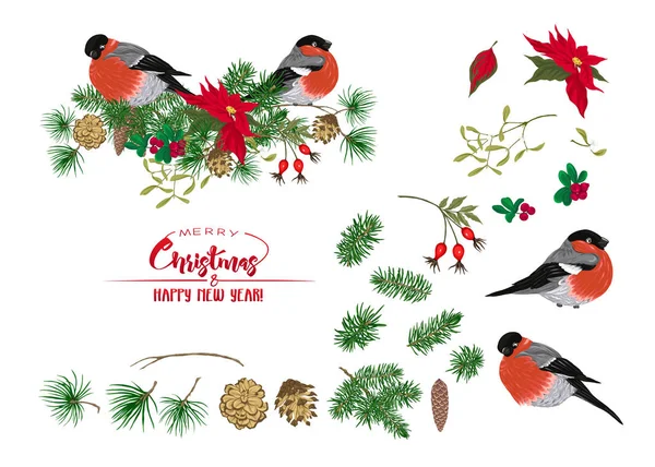 Karácsonyi Koszorú Lucfenyő Fenyő Mikulásvirág Vadrózsa Cowberry Fagyöngy Bullfinches Elemek — Stock Vector