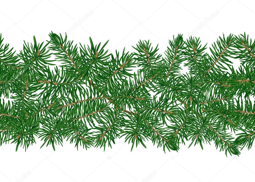Green Fir Branches seamless pattern, background. Colored vector illustration.