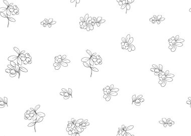 Dikişsiz desen, arka plan ile lingonberries. Anahat el vektör çizim çizimi.