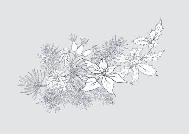 Noel dekorasyonu, yapılan çam dalları, puancetti, çam, holly, ökse otu, köpek gül çelenk. Gri arka plan üzerinde izole. Grafik çizim, gravür tarzı. vektör çizim