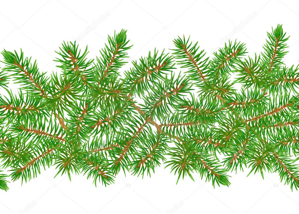 Green Fir Branches seamless pattern, background. Colored vector illustration.