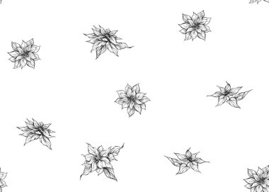 Dikişsiz desen, Poincetti çiçekler ile arka plan. Anahat el vektör çizim çizimi.