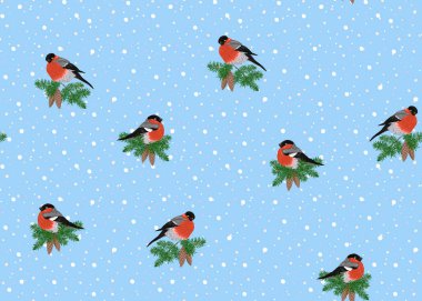 Dikişsiz desen, bir koni ile çam dal şakrak kuşu ile arka plan. Renkli vektör çizim. Üzerinde mavi arka plan