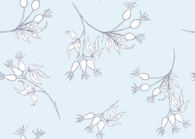 Dikişsiz desen, dalları ve yabani gül çilek arka plan. Anahat el vektör çizim çizimi