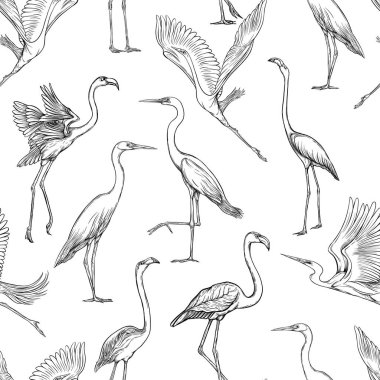 Dikişsiz desen, tropikal kuşlar ile arka plan. Beyaz balıkçıl, flamingo. Vektör çizim. Grafik çizim, gravür tarzı. vektör çizim. Vintage mavi ve bej renklerini. 