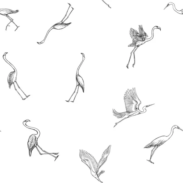 シームレスなパターンは 熱帯の鳥との背景 白いサギ フラミンゴ ベクトルの図 グラフィックの描画 彫刻スタイル ベクトル イラスト ビンテージ — ストックベクタ