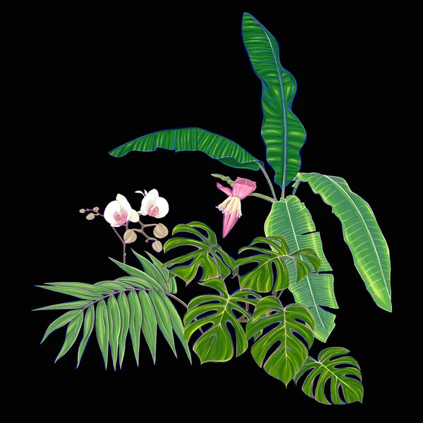 Skład Tropikalnych Roślin Liści Palmowych Potwory Białe Storczyki Botanicznych Styl — Wektor stockowy