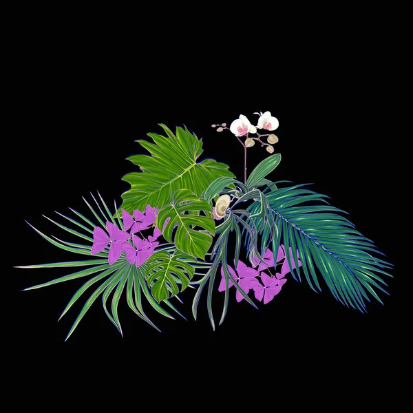 Een Samenstelling Van Tropische Planten Palmbladeren Monsters Witte Orchideeën Botanische — Stockvector