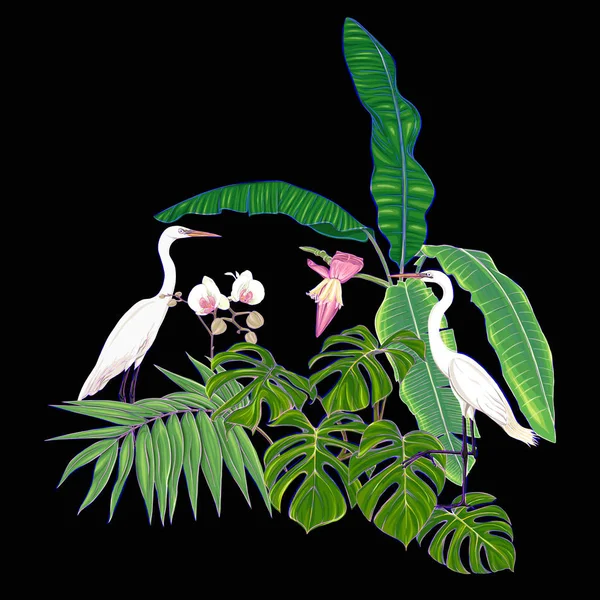 Skład Tropikalnych Roślin Liści Palmowych Potwory Białe Storczyki Białej Czapli — Wektor stockowy
