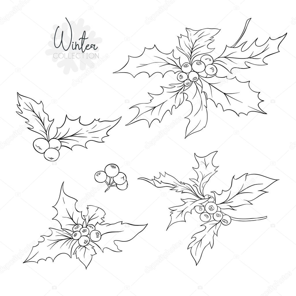 Set with branches of holly.  Outline hand drawing vector illustration. Isolated on white background