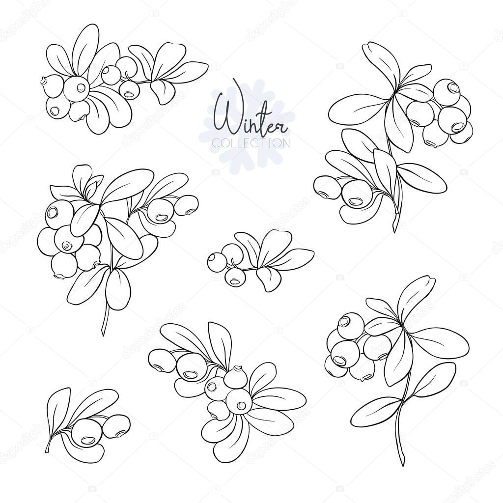Set with lingonberries. Outline hand drawing vector illustration. Isolated on white background.