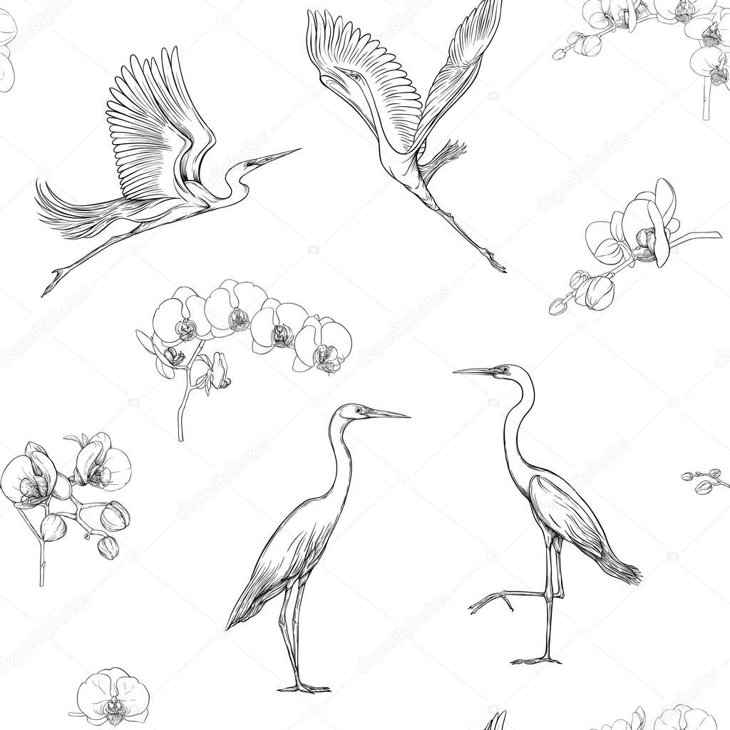 Seamless pattern, background with tropical birds. White heron,cockatoo parrot. Vector illustration. Graphic drawing, engraving style. vector illustration. In vintage blue and beige colors. 