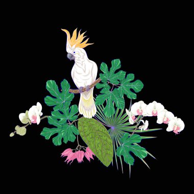 Tropik bitkiler, palmiye yaprakları, canavarlar ve botanik Kakadu papağan ile beyaz orkide bileşimi neon, floresan renkler renkli vektör çizim tarzı. Siyah arka plan üzerine izole.