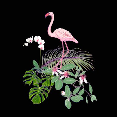 Tropik bitkiler, palmiye yaprakları, canavarlar ve flamingo Botanik ile beyaz orkide bileşimi neon, floresan renkler renkli vektör çizim tarzı. Siyah arka plan üzerine izole.