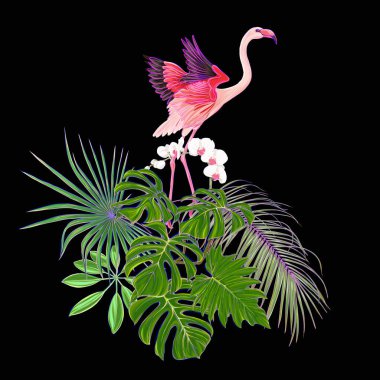 Tropik bitkiler, palmiye yaprakları, canavarlar ve flamingo Botanik ile beyaz orkide bileşimi neon, floresan renkler renkli vektör çizim tarzı. Siyah arka plan üzerine izole.