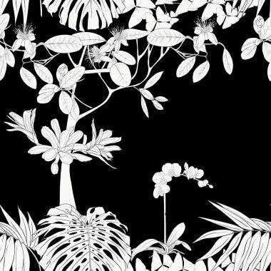 Tropik bitkiler ve beyaz orkide çiçekler. Dikişsiz desen, arka plan. Vektör çizim. Siyah-beyaz grafik. Vektör çizim.