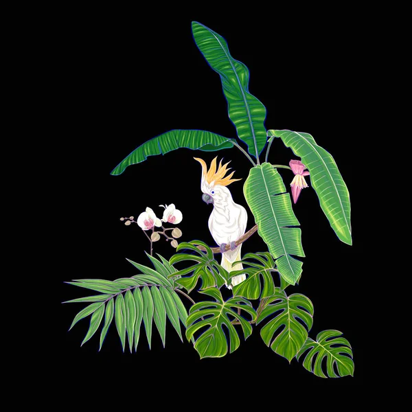 Композиція Тропічних Рослин Пальмового Листя Монстрів Білих Орхідей Папугою Какао — стоковий вектор