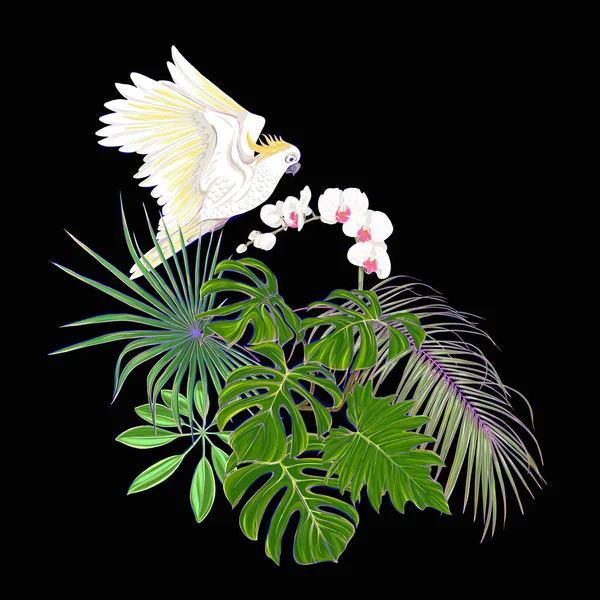 Композиція Тропічних Рослин Пальмового Листя Монстрів Білих Орхідей Папугою Какао — стоковий вектор