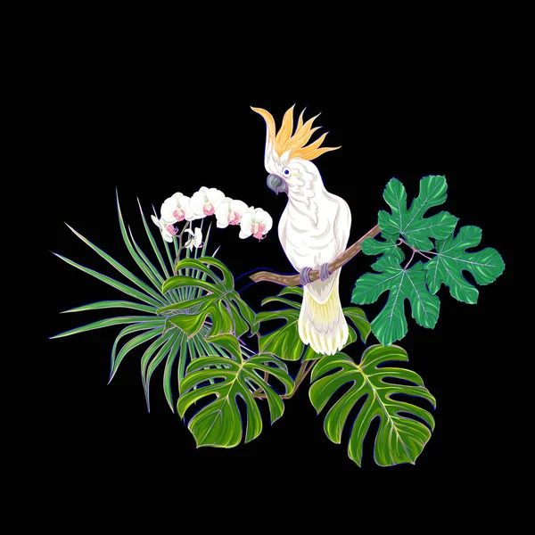 Tropik bitkiler, palmiye yaprakları, canavarlar ve botanik Kakadu papağan ile beyaz orkide bileşimi neon, floresan renkler renkli vektör çizim tarzı. Siyah arka plan üzerine izole.