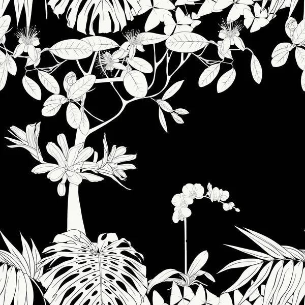 Plantes Tropicales Fleurs Orchidées Blanches Modèle Sans Couture Fond Illustration — Image vectorielle