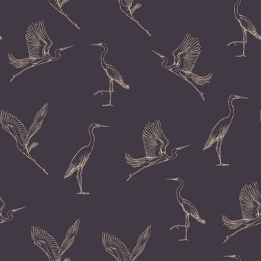 Dikişsiz desen, tropikal kuşlar ile arka plan. Beyaz balıkçıl, Kakadu papağan. Vektör çizim. Grafik çizim, gravür tarzı. vektör çizim