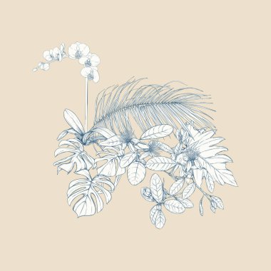 Tropikal bitki kompozisyonu, palmiye yaprakları, canavarlar ve botanik tarzında beyaz orkide. Grafik çizim, gravür tarzı. vektör çizim. Vintage mavi ve bej renklerini.