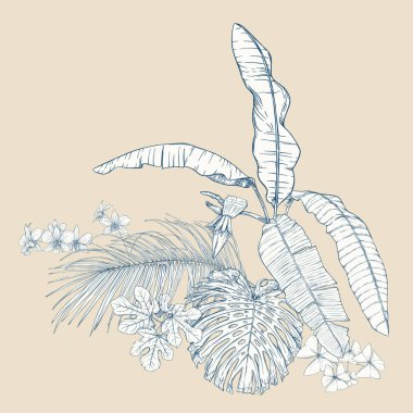 Tropikal bitki kompozisyonu, palmiye yaprakları, canavarlar ve botanik tarzında beyaz orkide. Grafik çizim, gravür tarzı. vektör çizim. Vintage mavi ve bej renklerini.