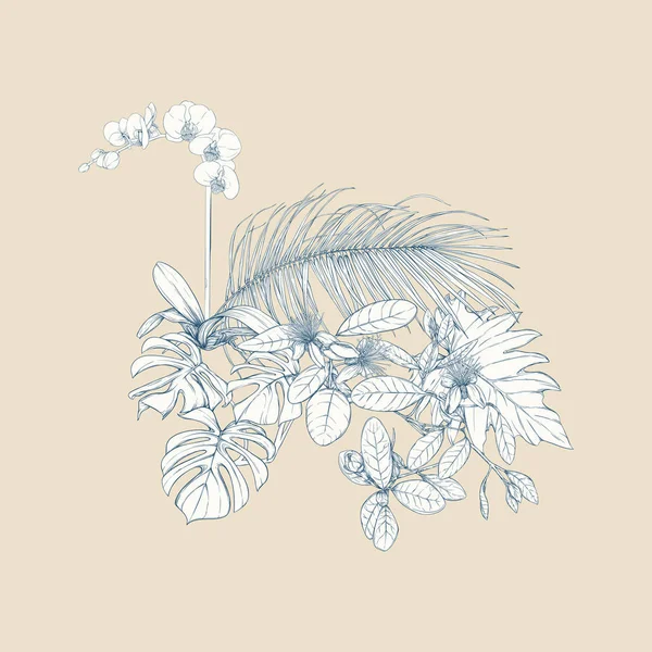 Tropikal bitki kompozisyonu, palmiye yaprakları, canavarlar ve botanik tarzında beyaz orkide. Grafik çizim, gravür tarzı. vektör çizim. Vintage mavi ve bej renklerini.