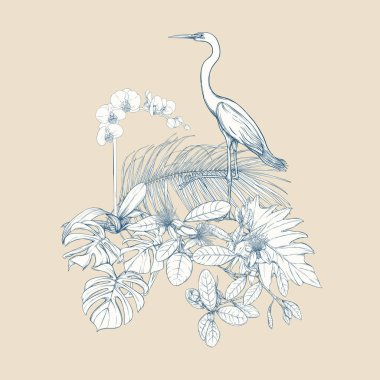 Tropikal bitki kompozisyonu, palmiye yaprakları, canavarlar ve botanik tarzında beyaz heron ile beyaz orkide. Grafik çizim, gravür tarzı. vektör çizim. Vintage mavi ve bej renklerini.