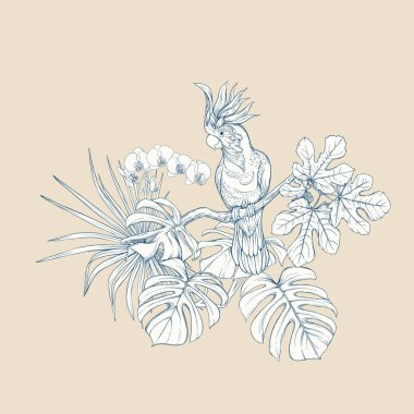 Tropikal bitki kompozisyonu, palmiye yaprakları, canavarlar ve Kakadu papağan botanik tarzı ile beyaz orkide. Grafik çizim, gravür tarzı. vektör çizim. ' Mavi ve bej renklerini.