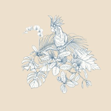 Tropikal bitki kompozisyonu, palmiye yaprakları, canavarlar ve Kakadu papağan botanik tarzı ile beyaz orkide. Grafik çizim, gravür tarzı. vektör çizim. ' Mavi ve bej renklerini.