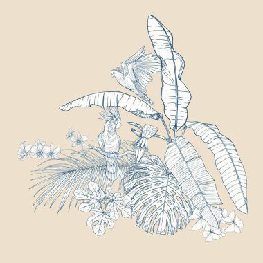 Tropikal bitki kompozisyonu, palmiye yaprakları, canavarlar ve Kakadu papağan botanik tarzı ile beyaz orkide. Grafik çizim, gravür tarzı. vektör çizim. ' Mavi ve bej renklerini.