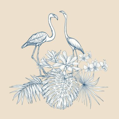 Tropikal bitki kompozisyonu, palmiye yaprakları, canavarlar ve flamingo botanik tarzı ile beyaz orkide. Grafik çizim, gravür tarzı. vektör çizim. Vintage mavi ve bej renklerini.