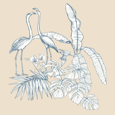 Tropikal bitki kompozisyonu, palmiye yaprakları, canavarlar ve flamingo botanik tarzı ile beyaz orkide. Grafik çizim, gravür tarzı. vektör çizim. Vintage mavi ve bej renklerini.