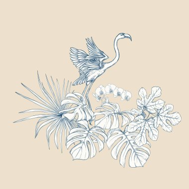 Tropikal bitki kompozisyonu, palmiye yaprakları, canavarlar ve flamingo botanik tarzı ile beyaz orkide. Grafik çizim, gravür tarzı. vektör çizim. Vintage mavi ve bej renklerini.
